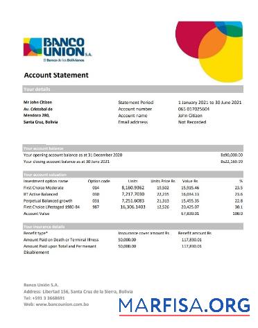 Printable Bolivia Banco Union bank statement excel template